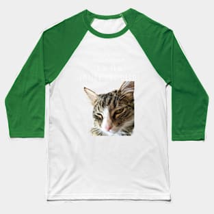 dont be part of the problem BE THE ENTIRE PROBLEM  Maine Coon Cat Baseball T-Shirt